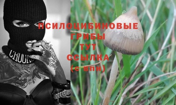 метадон Михайловск