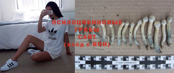 стафф Медвежьегорск