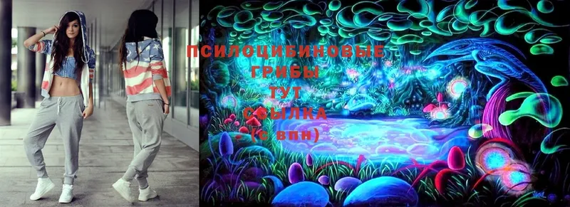 Псилоцибиновые грибы Magic Shrooms  Электросталь 