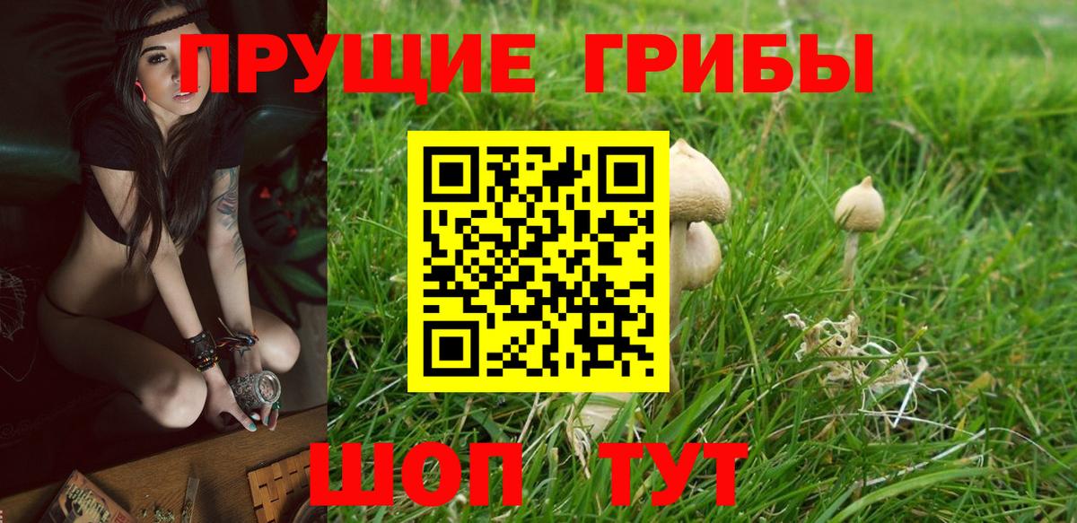 Псилоцибиновые грибы мицелий  Вход с VPN  купить  сайты  Электросталь 