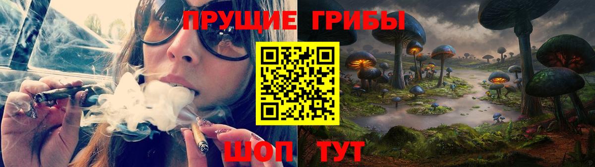 Галлюциногенные грибы Psilocybine cubensis Электросталь